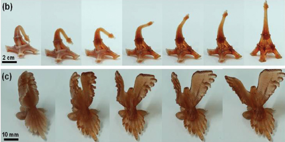Researchers Use SLA Technology for Shape Memory Polymers for the First Time