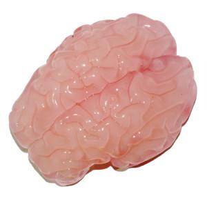 The 3D printed brain after being immersed in the solvent.
