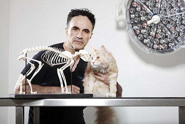 Professor Noel Fitzpatrick, The Supervet, with one of his patients, Maine Coon cat, Barros