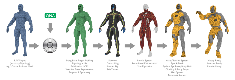 Realistic human movements and musculature of a mesh 3D scan via Quantum Human software.