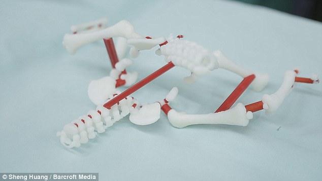 3D printed internal physiology.
