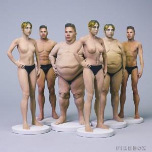 The six body types on the market as a Nudee. 
