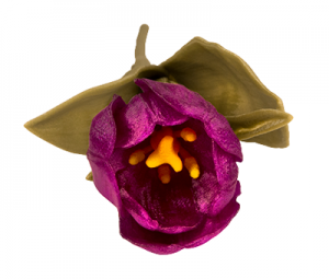 Makerbot-tulip