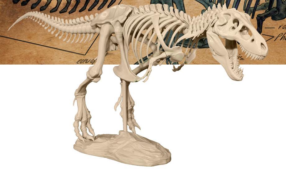 DINOSAUR 3D Viewer 21 Photo Images T-Rex Skeleton Focusing Viewmaster Viewer Set 