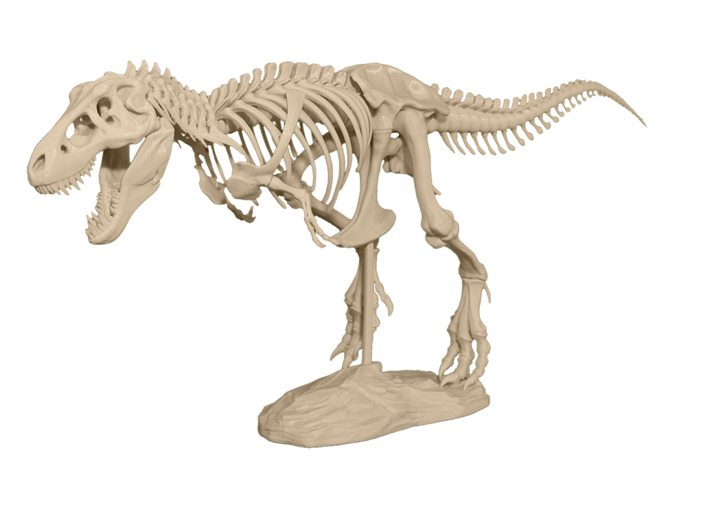 STL file Tyrannosaurus Rex Run (Dinosaur)