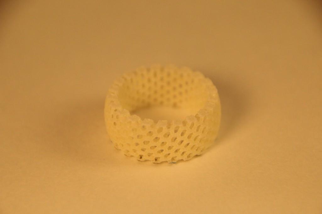 a ring printed on Bastian's printer using nylon