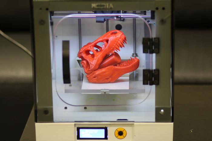 The MOTA 3D Printer