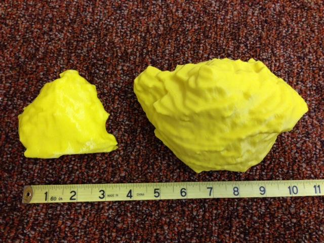 Post-chemo tumor on left, and pre-chemo tumor on right. - 3D printed on a MakerBot 3D Printer.