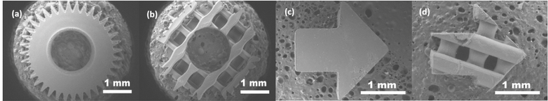 Figure 6. SEM micrographs of femtosecond pulse filament assisted cut shapes: (a) and (c) - bulk, (b) and (d) - woodpile-scaffold type.
