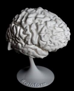 Brainform brain