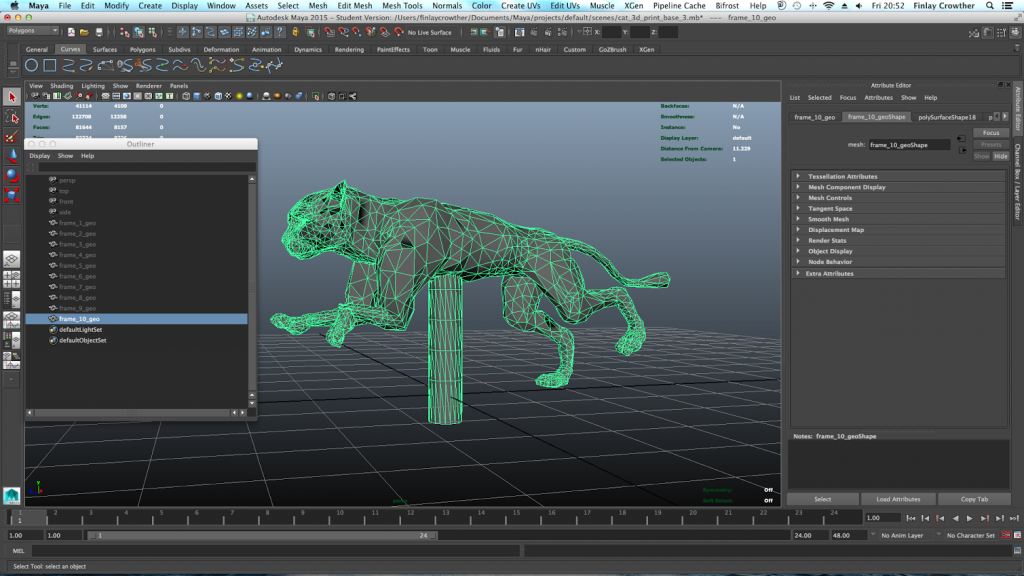 Modelling the Lion