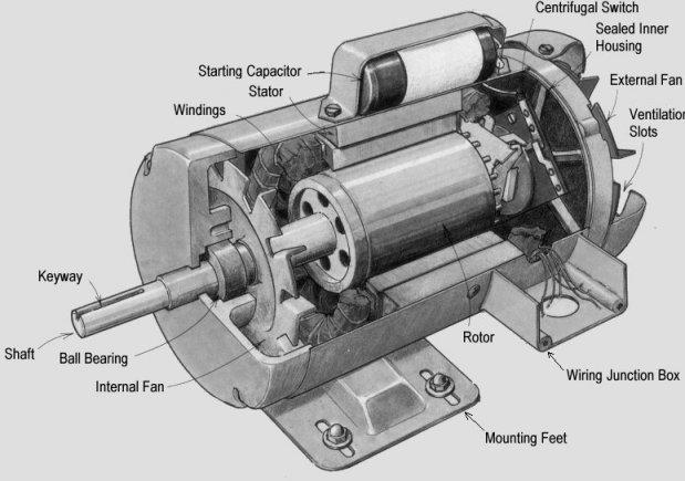 An induction motor.