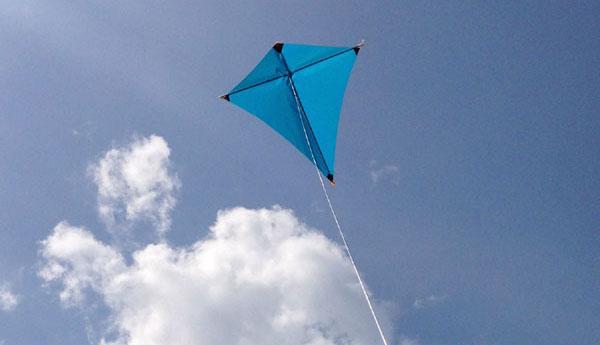 Iris PRISM DESIGNS INC MANP Prism Mantis Single-line Kite
