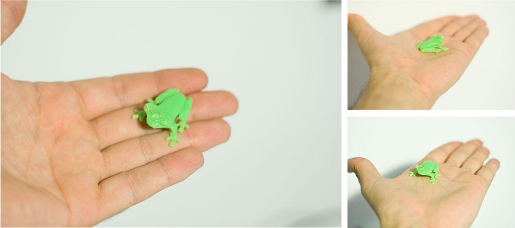 3d printer test print frog