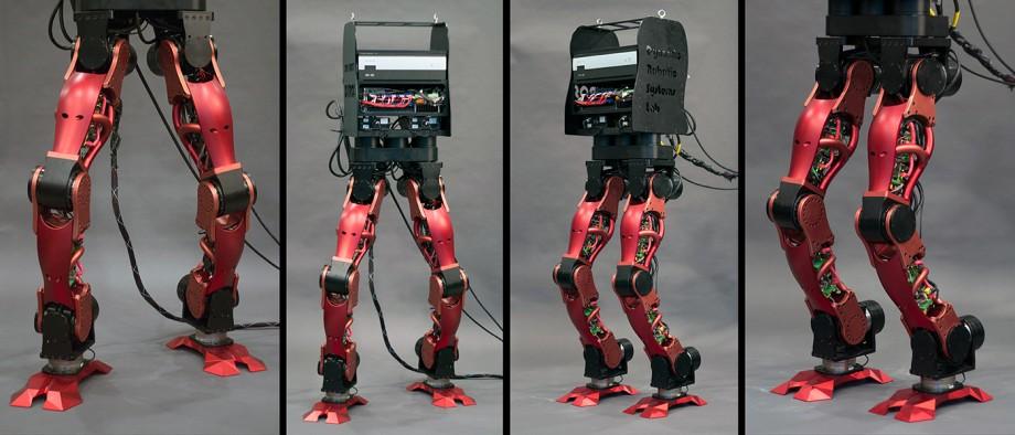 Top 12 3D-Printed Robots — From Amphibians to Humanoids - 3Dnatives