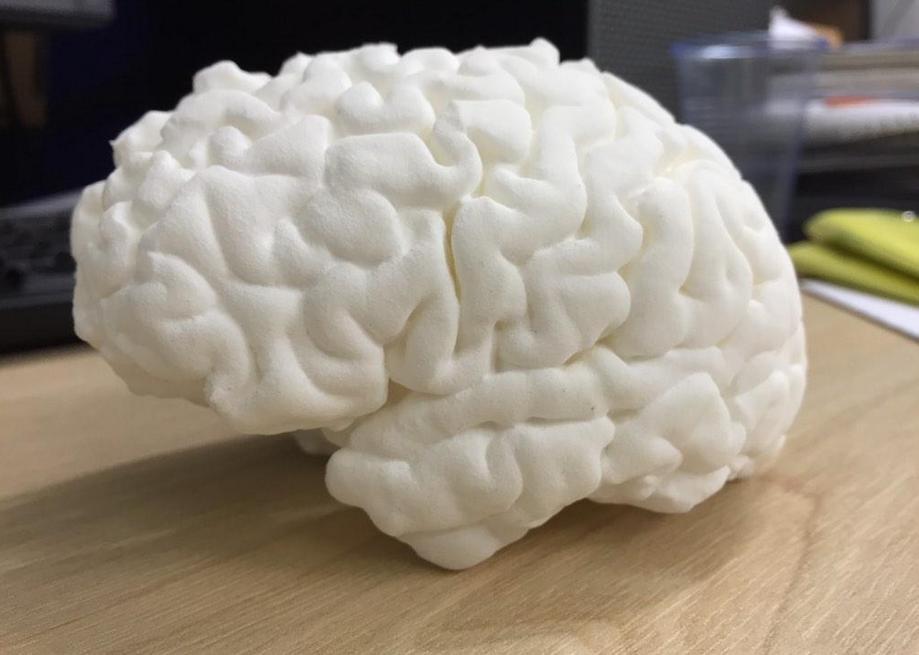 Full size brain print