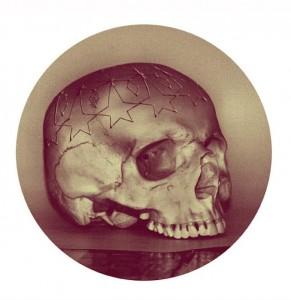 wagstaff skull image
