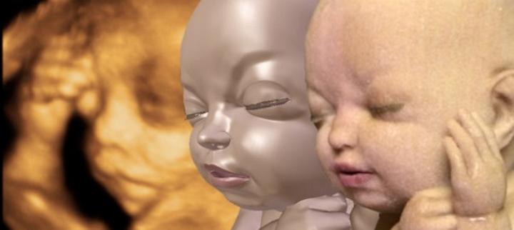 3D-Printed-Foetus