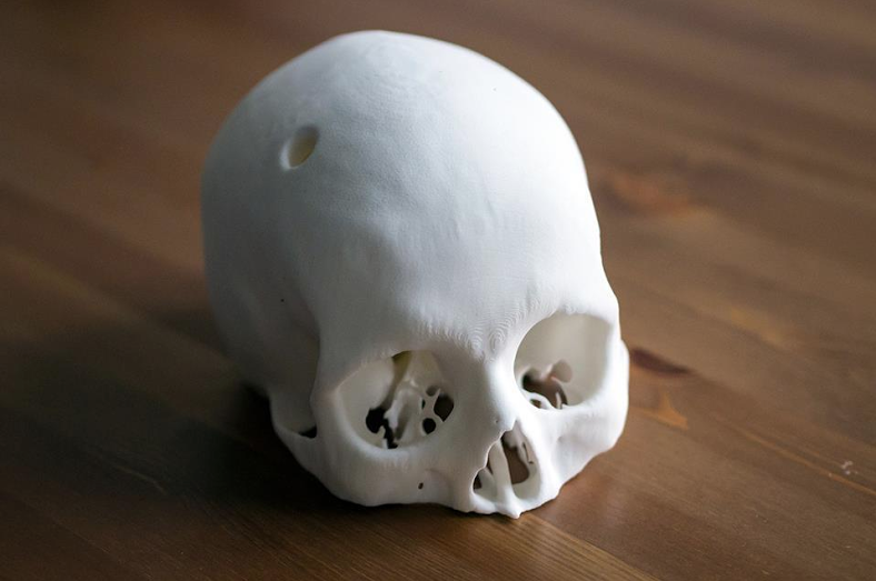 8_1 Human Skull Cerebrix - Prevue - Cults