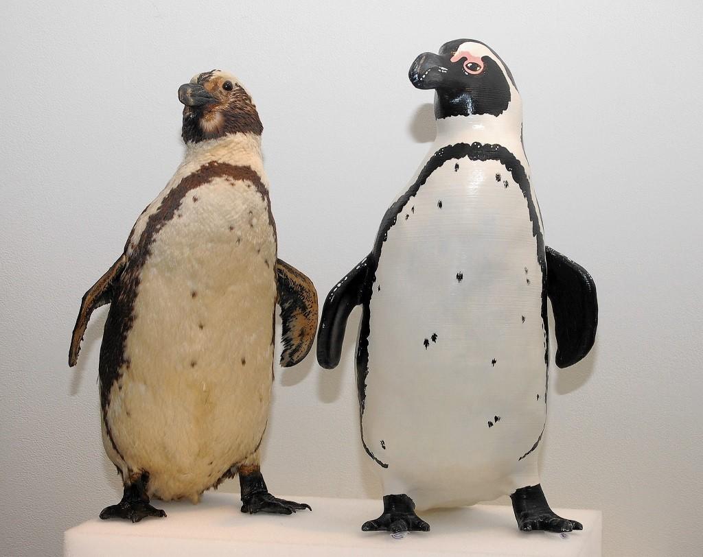 Real penguin, 3D print of penguin