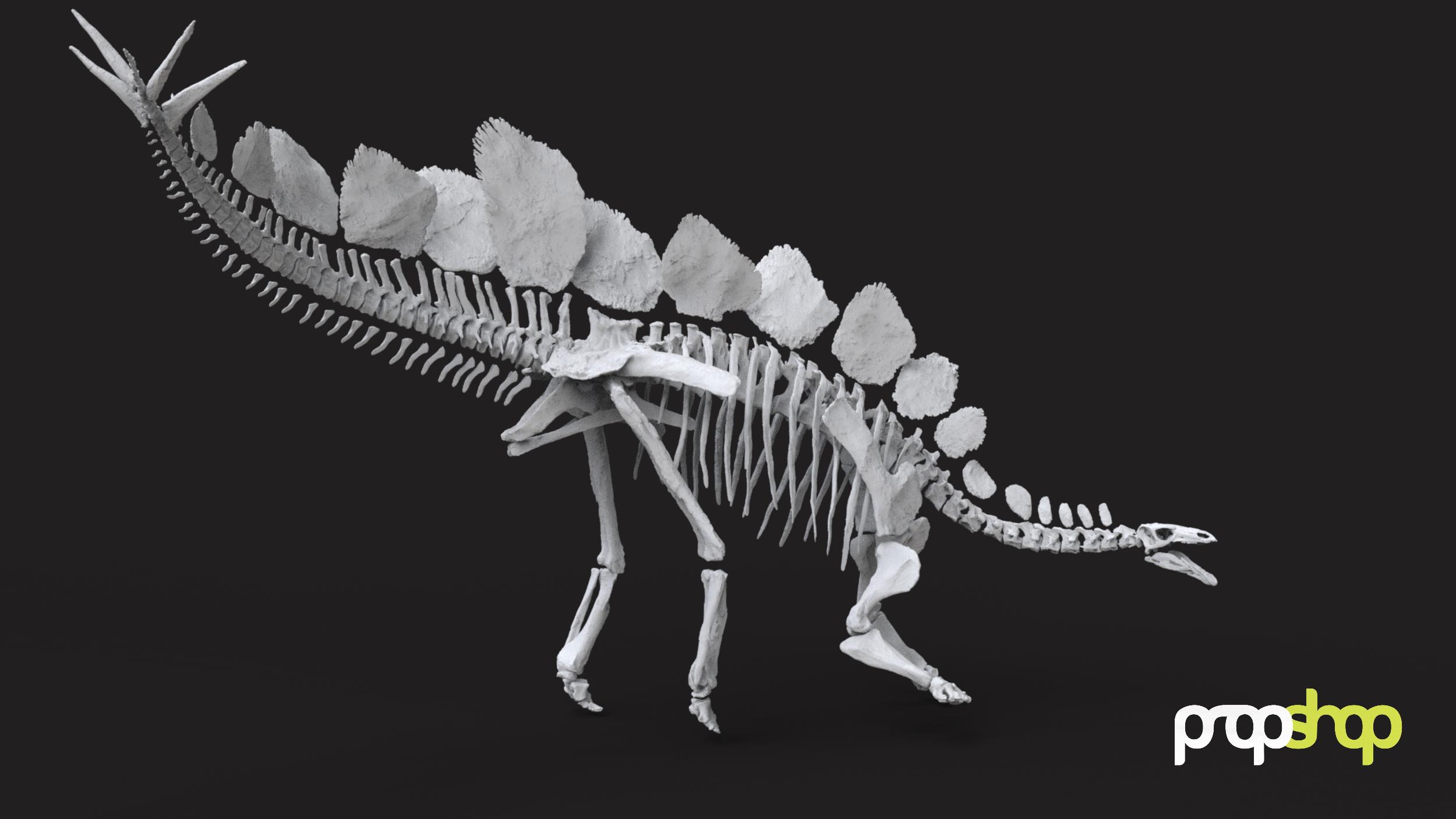 Sophie the Stegosaurus 3D Scanned for London Natural