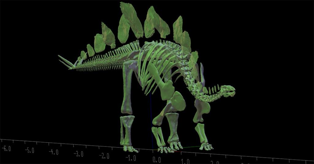 Computer model of the Museum Stegosaurus skeleton