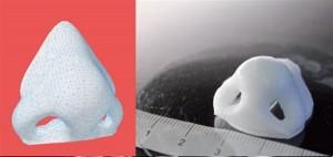 swiss-scientists-to-test-3d-printed-nose-implants-on-sheep-2