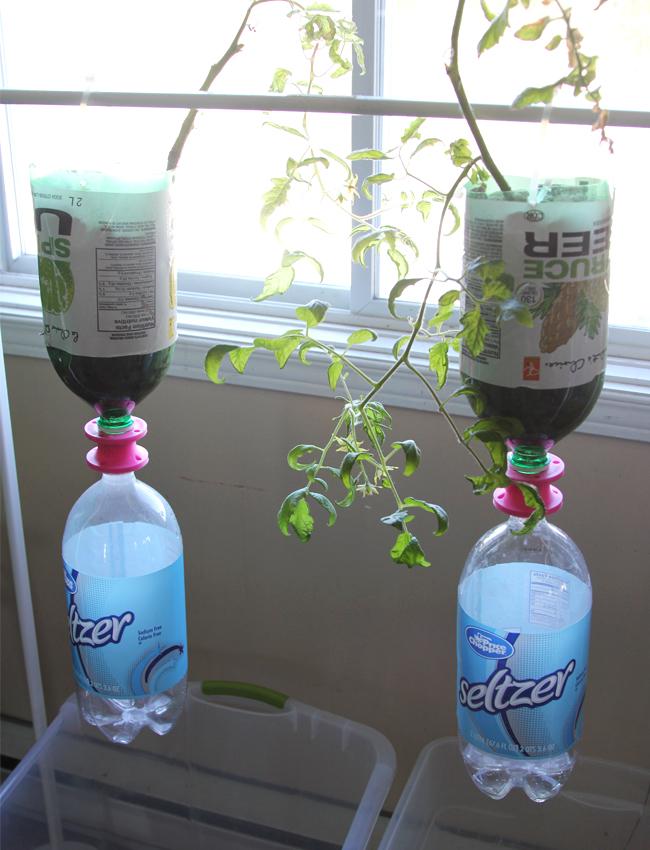 3dponics-mini-hydroponics-system