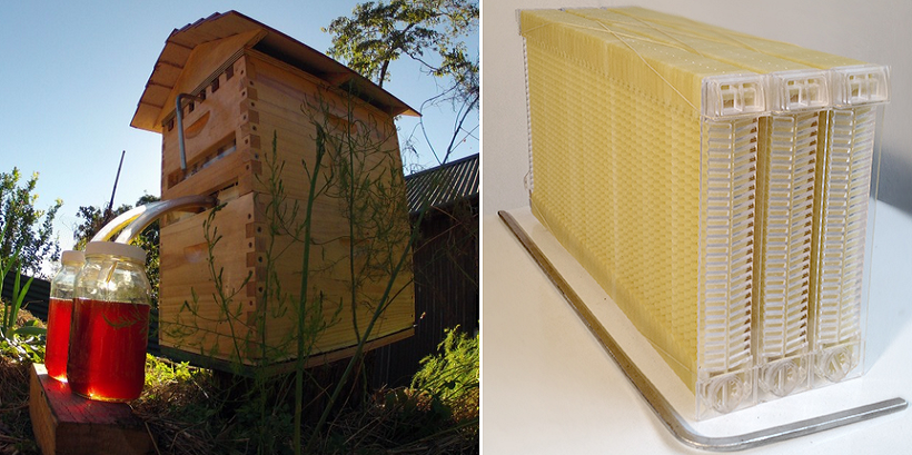 3D Printed Honeycombs Allow Beekeepers to Get Honey “On Tap” — Over $12