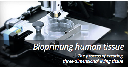 organovo bioprinting