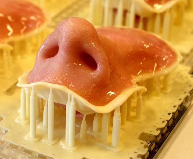 3d-printed-nose-fripp-design.jpg