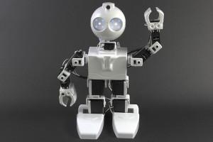EZ-Robot's JD Humanoid