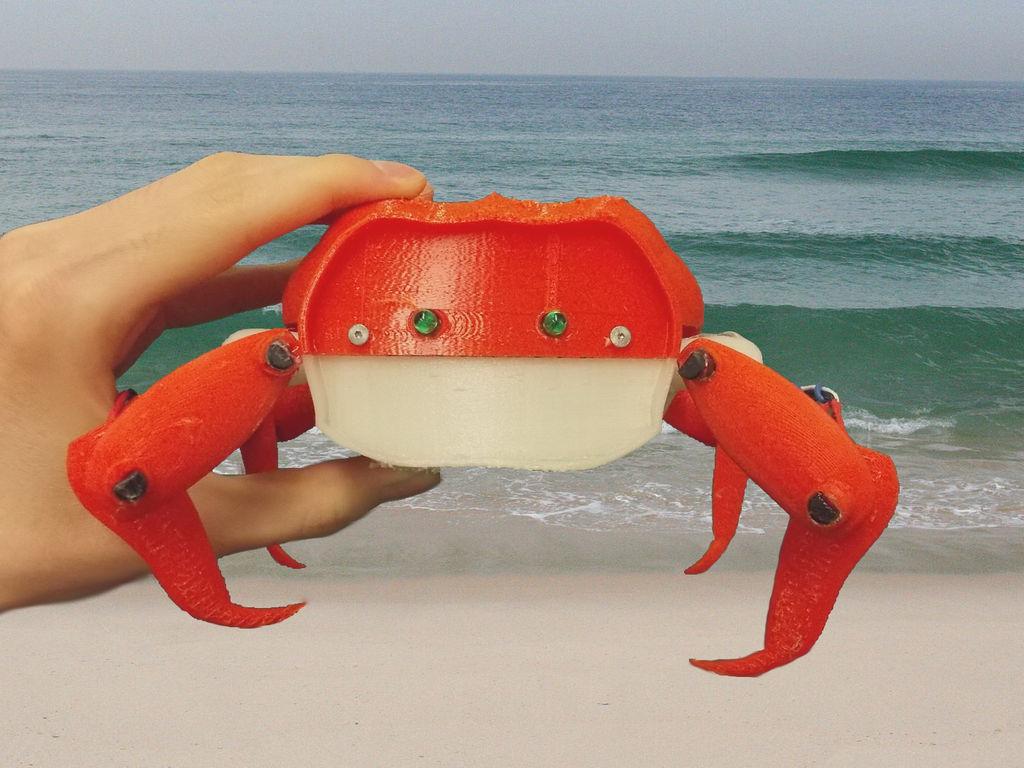 crab main