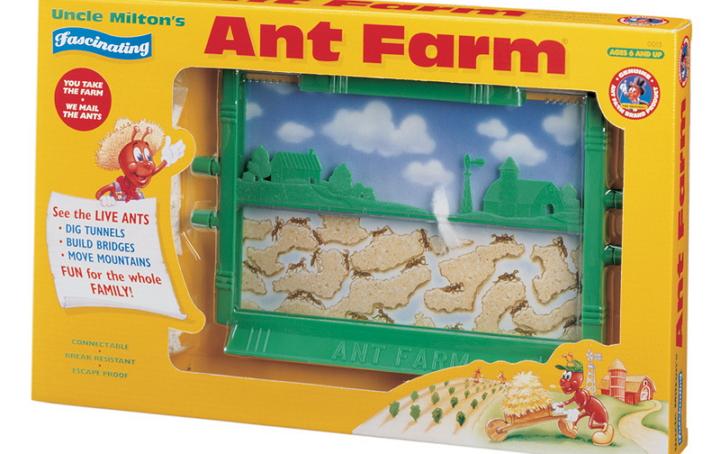 uncle miltons ant farm