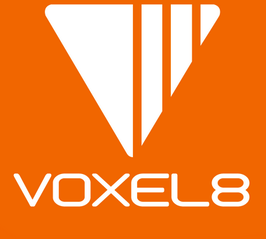 Voxel8-Logo
