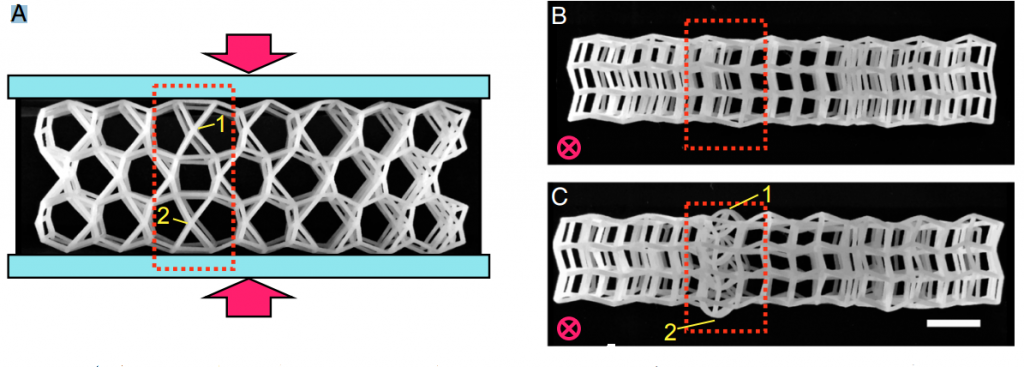 three - buckling in the 3D topological cellular material