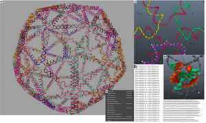 DNA structures can be edited with basic 3D design software. 
