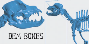 Dem Bones Seeks to Revolutionize Veterinary Education with 3D Printed Canine Skeletons