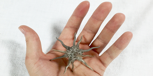 Kraken Die 3D Printed in Bronze Infused Steel for RPG Fans