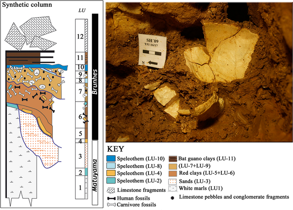 Fig 1. Stratigraphy of the Sima de los Huesos site (modified from Arsuaga et al. [21]). The hominin bones were recovered in Lithostratigraphic Unit 6 (LU-6) dated to c. 430ka [21]. This unit is composed of pure red clays, filtering into the conduit system from overlying soils with little or no lateral transport, and very low velocity of sedimentation (decantation by dripping water) [23]. The figure also shows a detailed image of Cr-17 during its excavation at the site. Note the pure red clay that covers the cranial bones (partially cleaned in situ to enhance visualization) and the typical in situ postmortem (fossil diagenetic) fractures of the cranial vault. Photo credit: Javier Trueba (Madrid Scientific Films). doi:10.1371/journal.pone.0126589.g001 Sala N, Arsuaga JL, Pantoja-Pérez A, Pablos A, Martínez I, Quam RM, et al. (2015) Lethal Interpersonal Violence in the Middle Pleistocene. PLoS ONE 10(5): e0126589. doi:10.1371/journal.pone.0126589