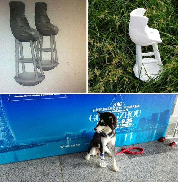 yogo-the-dog-receives-successful-3d-printed-leg-prosthesis-3