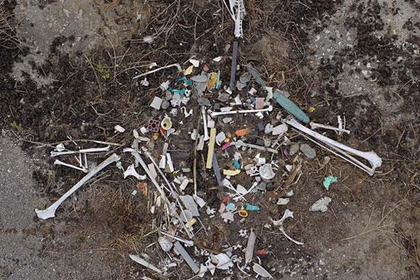 The corpse of a bird tangled with marine refuse in the Midway Atoll, north of Samoa, from the Great Pacific Garbage Patch. Photo: Midway atoll, bird corpse. Photo: © Chris Jordan. See the website Coastal Care: https://coastalcare.org/2009/11/plastic-pollution/