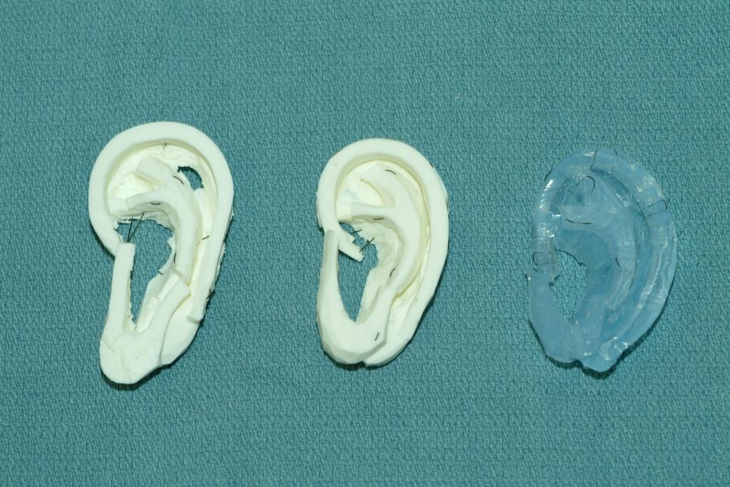 carved-ear-models (1)