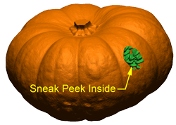pumpkin-sneak-peek