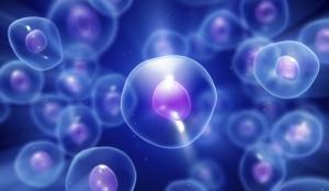 3dp_bioprintingcells_stem_cells