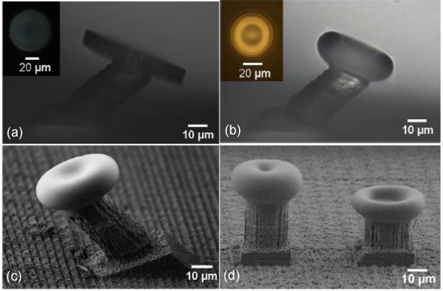Optical microscope images of fused silica microdisks fabricated by femtosecond laser processing and chemical wet etching 