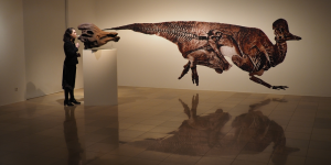 3D Printing (re)Produces 65 Million Year Old Mating Call
