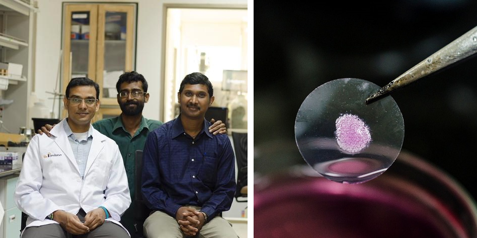 Biotech Startup Pandorum Technologies Creates India’s First 3D Printed Artificial Human Liver Tissue