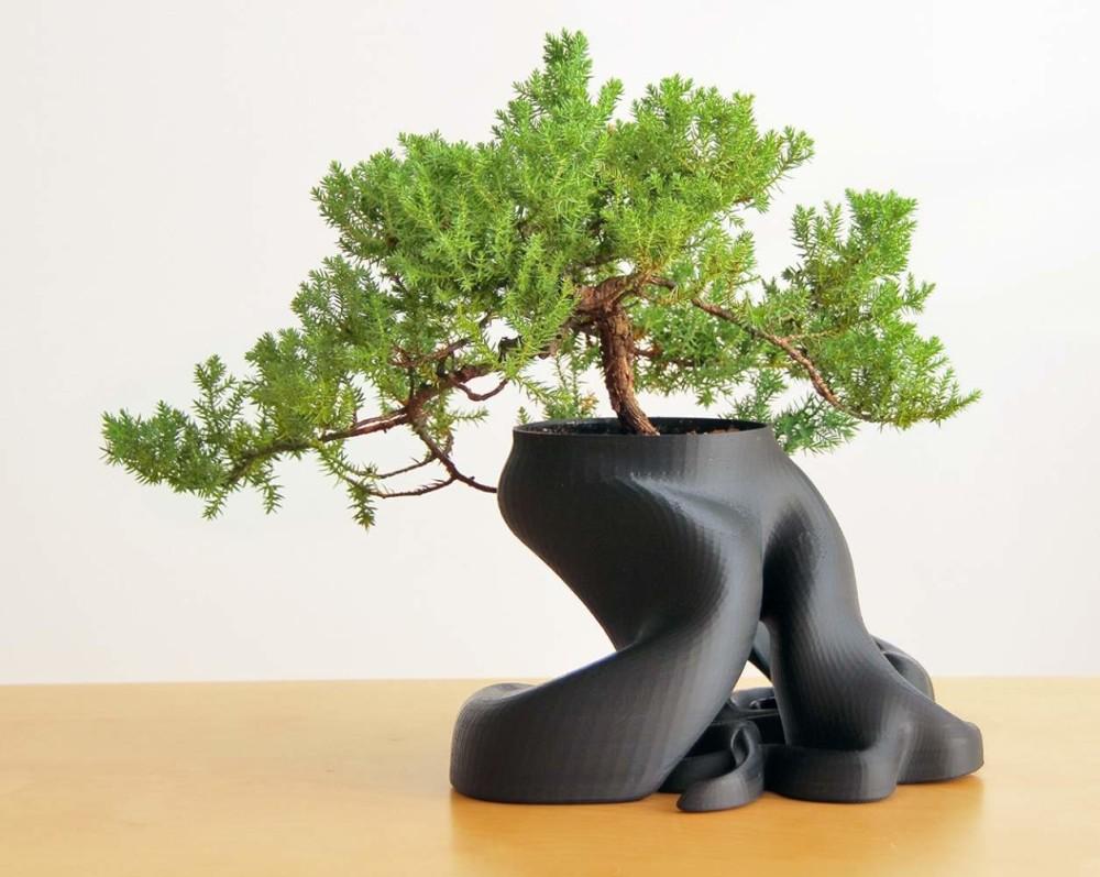 3dp_ten3dpthings_bonsai_roots