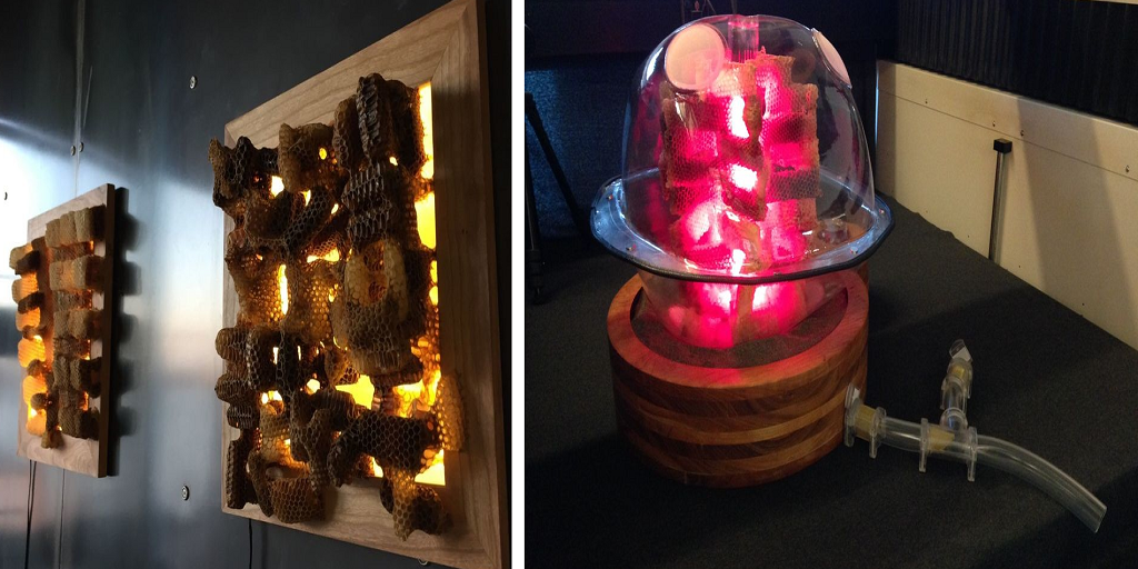 Artist Jennifer Berry Creates Collaborative Art With Bees, Nature's 3D Printers